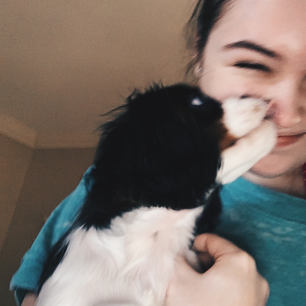 Meet your Posher, Bailey